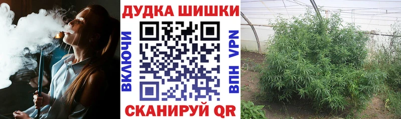Шишки марихуана конопля  блэк спрут tor  Чегем 
